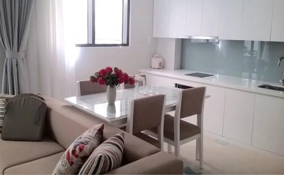 apartment for rent in binh thanh district BT99141 (1)